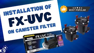 SETTING UP AN FX UVC CLARIFIER  Installation on FX Series Filter Cover [upl. by Ferde149]