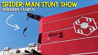 SpiderMan Stunt Show in Avengers Campus  Disney California Adventure [upl. by Neellok181]