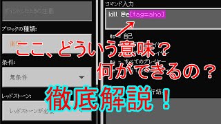 【マインクラフト統合版】今更聞けない！コマンドの引数を解説！これを見ればコマンドでできることが広がる、これマジ。 [upl. by Okorih]