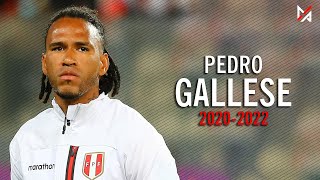 Pedro Gallese  Selección Peruana  Mejores Atajadas  Eliminatorias Qatar 2022  MPHD™ [upl. by Llerud]