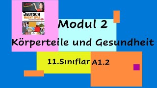 Körperteile und Gesundheit 11Sınıf A12 [upl. by Akoyin]