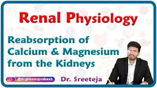 Reabsorption Of Calcium amp Magnesium from the Kidneys  Renal physiology USMLE Step 1 [upl. by Ahsa562]