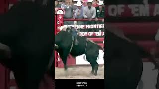 2024 Cheyenne Frontier Days Ky Hamilton vs Dakota Rodeos Regular Joe [upl. by Spring]