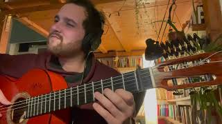 Egberto Gismonti  Loro Guitar Flamenco cover [upl. by Cornall]