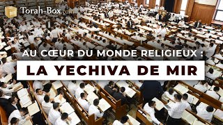 Au cœur du monde juif religieux  LA YECHIVA MIR [upl. by Mullen]