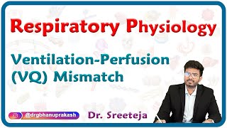 Ventilationperfusion VQ mismatch  Respiratory physiology USMLE Step 1 [upl. by Adnawahs]