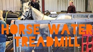 Horse water treadmill [upl. by Arnaud]