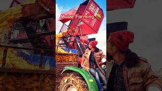 Maize Farming ytfeed ytshots trending viral [upl. by Ssor]