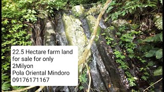 Farm Land for sale Philippines 225 hectare for 2milyon only or 3600 USD [upl. by Einnig]