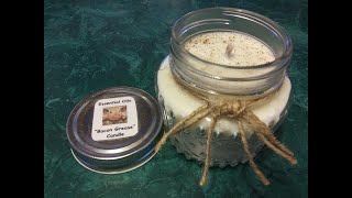 Making Tallow Candles [upl. by Francene]