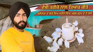 ਕਿਸ ਕਿਸ ਨੂੰ ਚਾਹੀਦੇ ਨੇ ਬੱਤਖਾ ਦੇ ਬੱਚੇ  Toor Farm [upl. by Hcirdla]