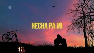 FZ  HECHA PA MI Lyric Video [upl. by Alodi]