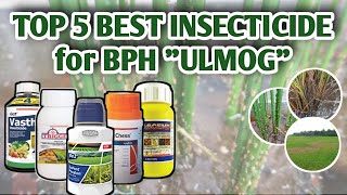 TOP 5 BEST INSECTICIDE FOR BPH quotULMOGquot  Vlog14 [upl. by Nebuer]