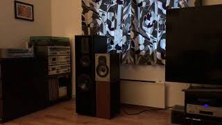 Paradigm Mini Monitor V1 amp NAD C356BEE [upl. by Anahsed402]