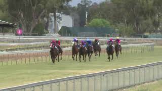 Barcaldine 04112023 Race 3 [upl. by Nepil]