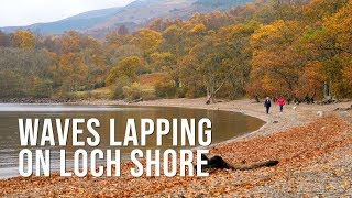 Waves Lapping on Loch Shore Free Sound Effect SFX [upl. by Rolo559]