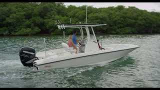 Boston Whaler 240 Dauntless [upl. by Suoirtemed901]