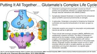 The Role of Glutamatergic Signaling in Major Depressive Disorder [upl. by Smaoht673]