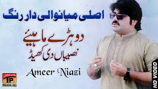 Sari Naseeban Diyan Khel  Ameer Niazi  Latest Song 2018  Latest Punjabi And Saraiki [upl. by Justin]