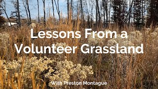 Lessons From a Volunteer Grassland [upl. by Kassel]