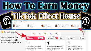 Tiktok Effect House Earn Money  Tiktok Earn Money Pakistan [upl. by Aicrop]