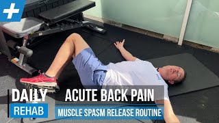 Acute Low Back Pain  Muscle Spasm Release Routine  Tim Keeley  Physio REHAB [upl. by Mieka]