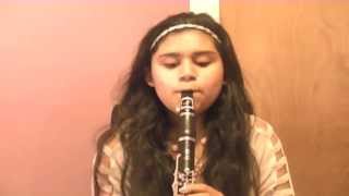 22Taylor Swift Clarinet Cover [upl. by Eizeerb]