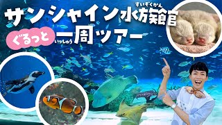 空飛ぶペンギンに会える！サンシャイン水族館行く前に見て！楽しすぎる徹底解説ツアー（sunshine aquarium tokyo） [upl. by Carol-Jean]