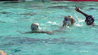 JVB LickWilmerding White  AMER 24 08 31 Water Polo [upl. by Eniffit]