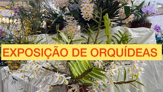 EXPOSIÃ‡ÃƒO E FEIRA DE ORQUÃDEAS EM CONSELHEIRO LAFAIETE MG [upl. by Earehc]