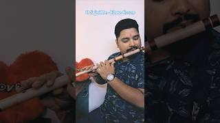 Sajni Song  Laapataa Ladies  Flute Cover  flute trailer [upl. by Namref104]