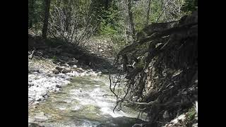 Cedar Creek Star Valley Ranch Wyoming [upl. by Giles]