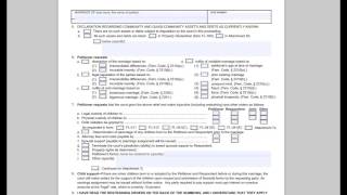 FL100 Petition for Dissolution of Marriage [upl. by Aninad]