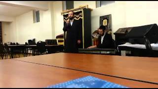 Shulem Moshe Freund Singing Nigun Hastureh At a Mlava Malka ניגון הסתרה שלום משה פריינד [upl. by Eisle476]