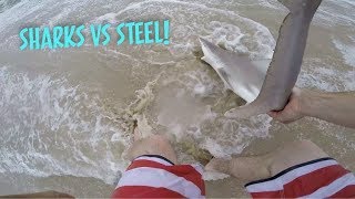 Crazy Delaware Surf Fishing SHARKS Blitz The Beach [upl. by Anuala]