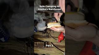 Warm Dinner in Alaska’s Rainforest 🌲🏕️ [upl. by Nairred]