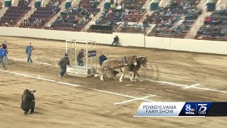 Pennsylvania Farm Show Horsepulling competition [upl. by Triplett222]