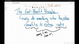 Cost Benefit Analysis amp the CostBenefit Principle [upl. by Zehe540]