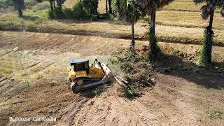 INCREDIBLE NEW PROJECT STARTS amp DOZER CAT D6R2 WORKING FAST OPERATOR SKILLS FOREST CLEARING SMALL [upl. by Denn]