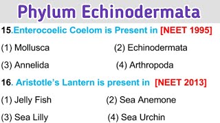 Phylum Echinodermata mcq  For NEET 2023  Class 11 Biology [upl. by Dloraj]