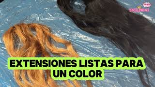 COMO APLICARLE EL COLOR A LAS EXTENSIONES extensiones coloring matizador hair [upl. by Enitsirc173]