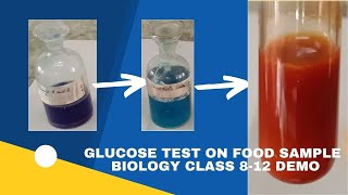 GLUCOSE TEST ON FOOD SAMPLE  BENEDICT FEHLINGS TEST  CLASS 812  BOARD PRACTICAL  BIOLOGY DEMO [upl. by Gosselin]