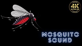 mosquito sound  mosquito sound effect  mosquito sound killer  mosquito sound repellent [upl. by Irehj]