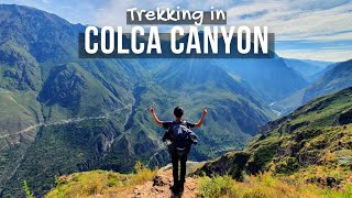 Colca Canyon 3day Trek Peru  Hiking in Worlds Deepest Canyon  TIPS  South America Hiking [upl. by Eohce]