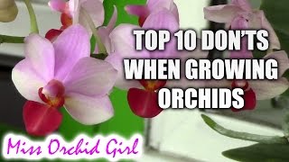 Top 10 DONTs when Growing Orchids  tips for orchid beginners [upl. by Noirb]