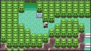 Pokemon Emerald  Part 11 Catching all 12 Legendaries [upl. by Chavez]