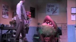 Little Shop of Horrors Act 1 Scene 3 Part 3 [upl. by Anele]