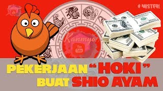 Pekerjaan HOKI SHIO AYAM  RAMALAN PERUNTUNGAN Shio AYAM dalam PEKERJAAN atau BISNIS yang HOKI [upl. by Aicatsue]