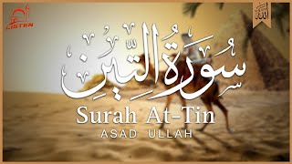 Surah AT Tin  QURAN TILAWAT BEAUTIFUL VOICE  SURAH WATEEN [upl. by Biebel]