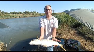 Tutorial  Pesca al Cefalo con la pasta  Dalla teoria alla pratica  Con un Big Fish inaspettato [upl. by Klement]